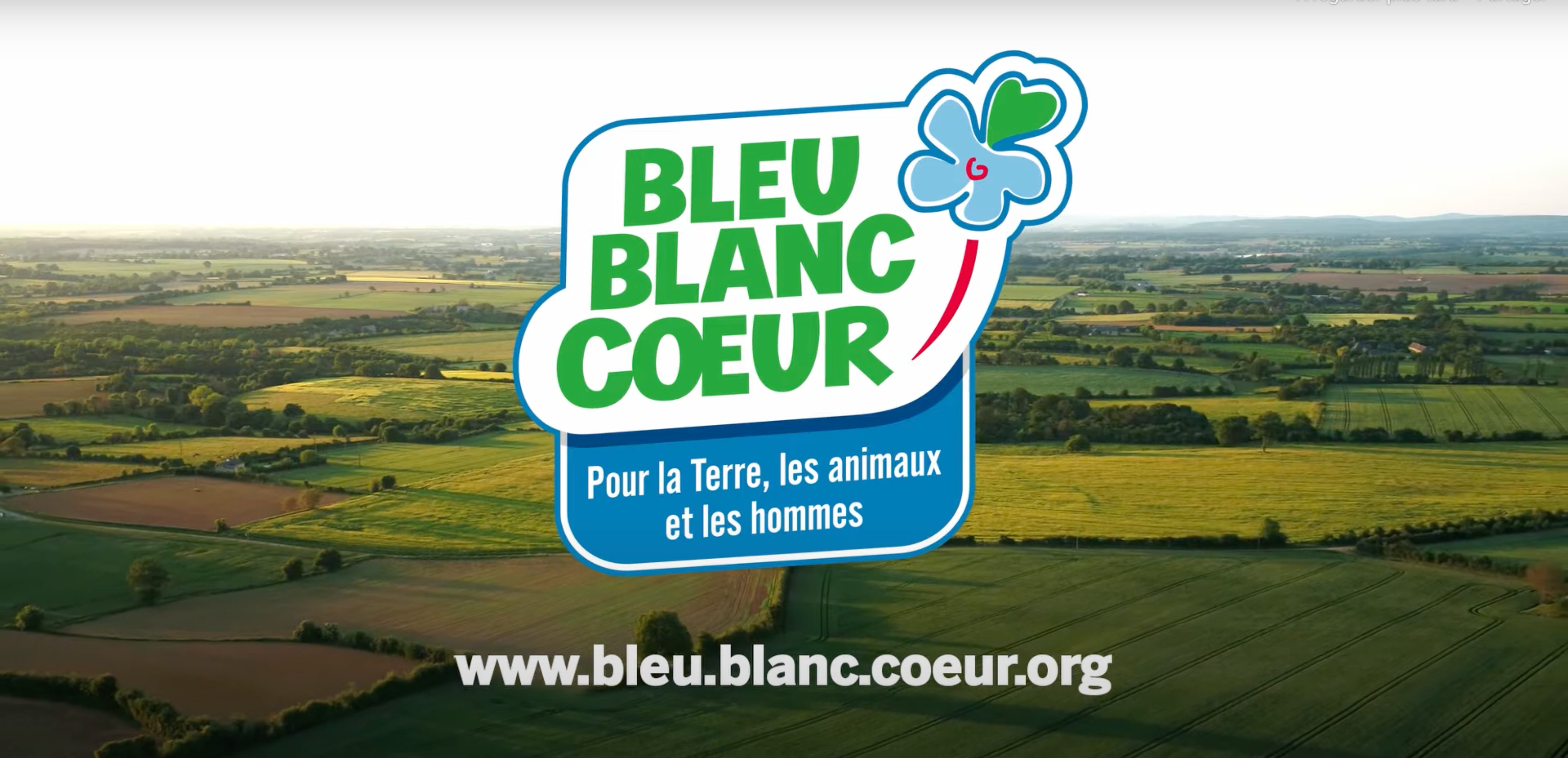 Load video: Blue and White Label Video: Heart, terroir, local products. The Biscuit of Sainte-Mère-Église